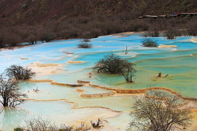 山东国康草莓视频APP下载色版厂家向九寨沟地震灾民表示慰问