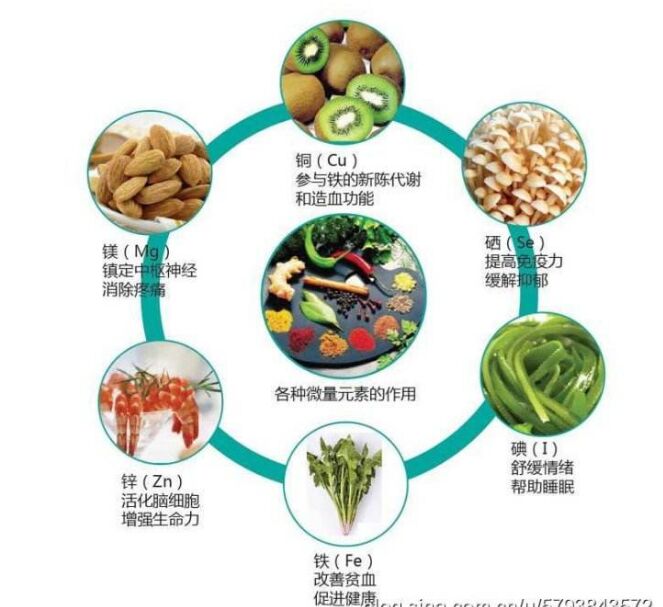 全自动草莓视频污免费下载分析头发检测的结果