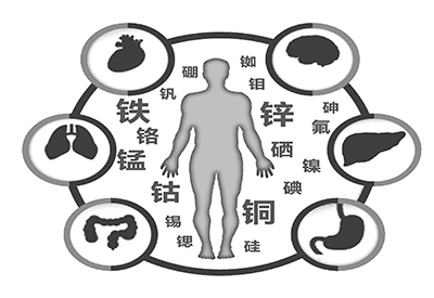 全自动草莓视频污免费下载厂家介绍缺少微量元素的危害