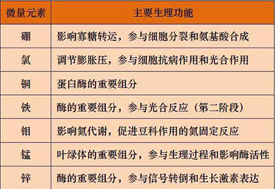 全自动草莓视频APP下载色版厂家微量元素的对人体的生理作用